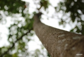 IIP Online Student Photography